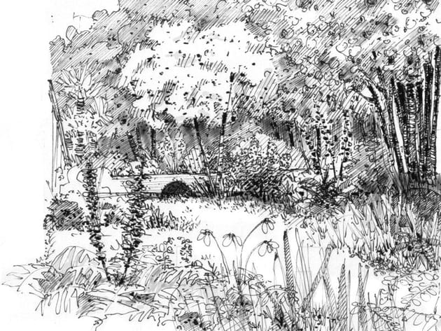 Croquis du jardin cinq ans apr&egrave;s