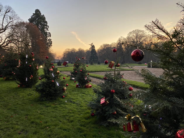 Les jardins de Cheverny &agrave; la tomb&eacute;e de la nuit