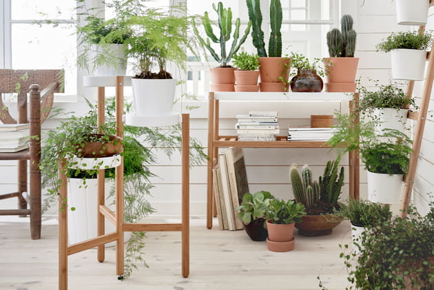 Piédestal Satsumas d'IKEA