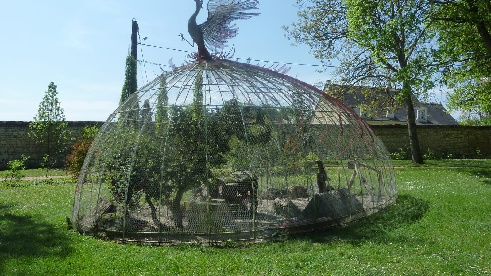 Phénix