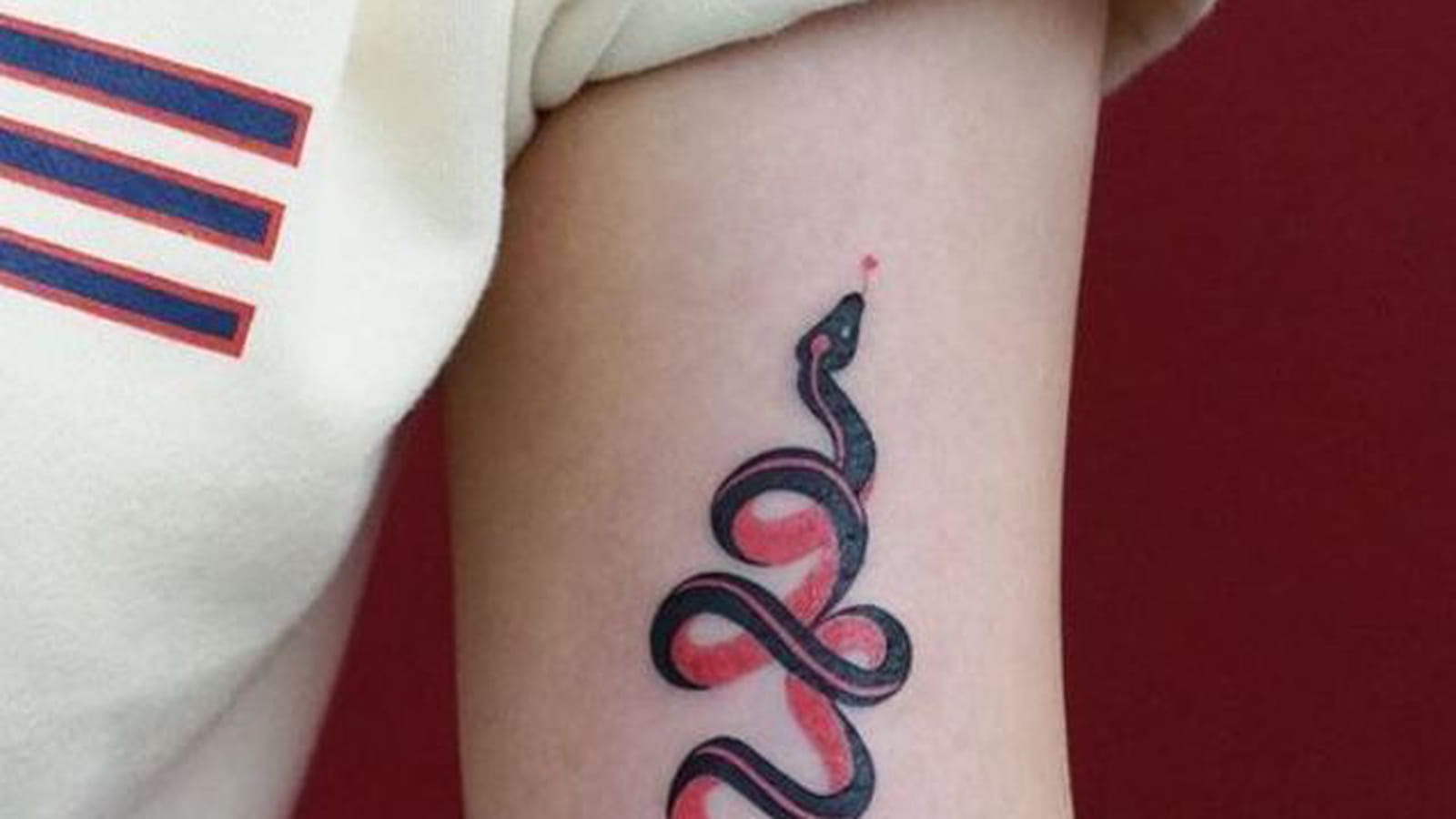 Serpent noir et rose sur le bras