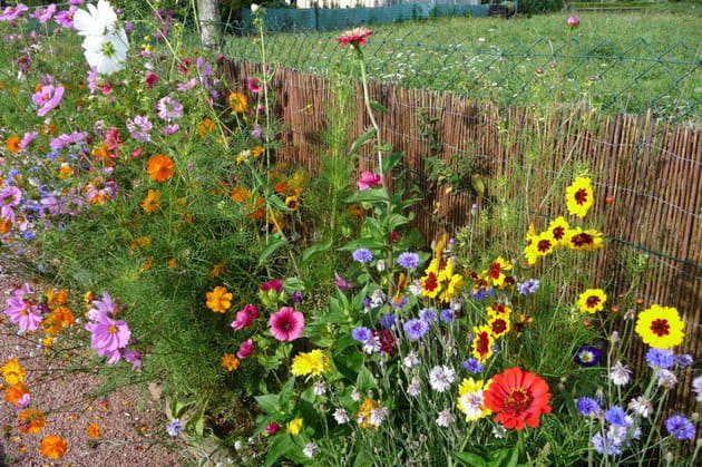 Bordures en jachère