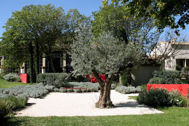 Olivier rouge passion