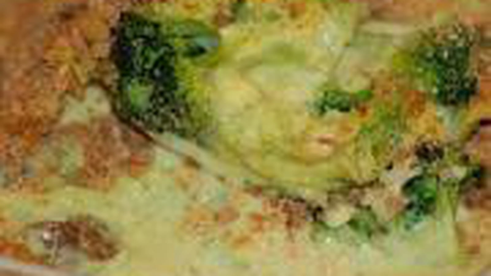 Gratin de brocolis à l'indienne