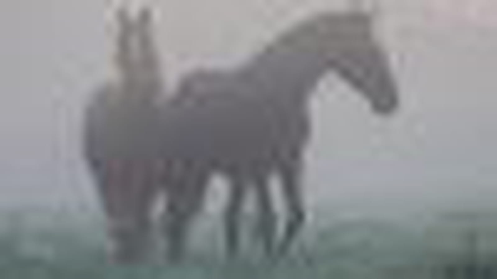 Tâtonnant dans la brume
