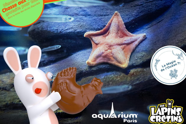 Une chasse aux oeufs à l'Aquarium de Paris