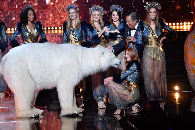 Un animal hors du commun... dans le d&eacute;collet&eacute;