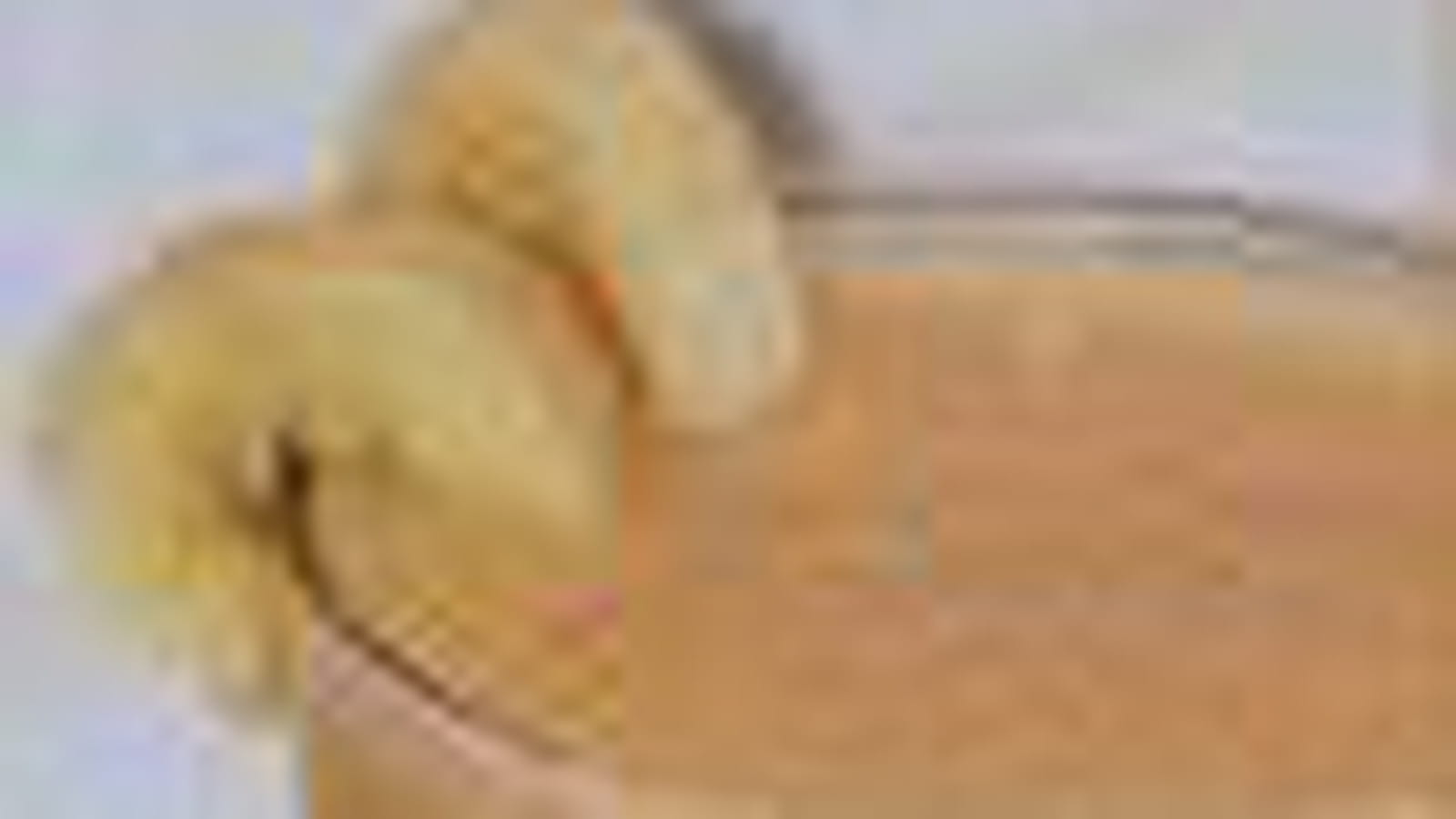 Bananes-agrumes