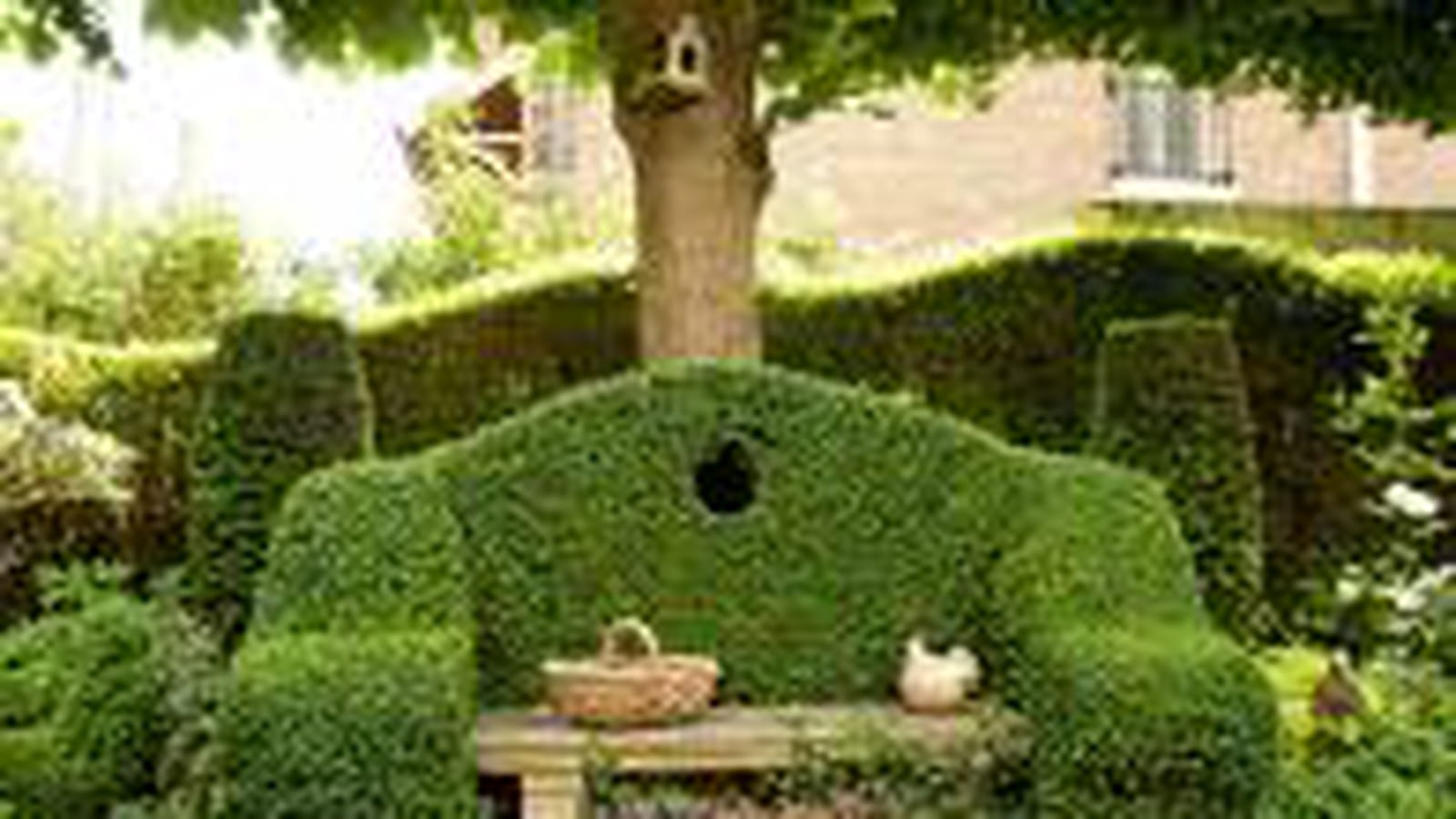 Banc en topiaire