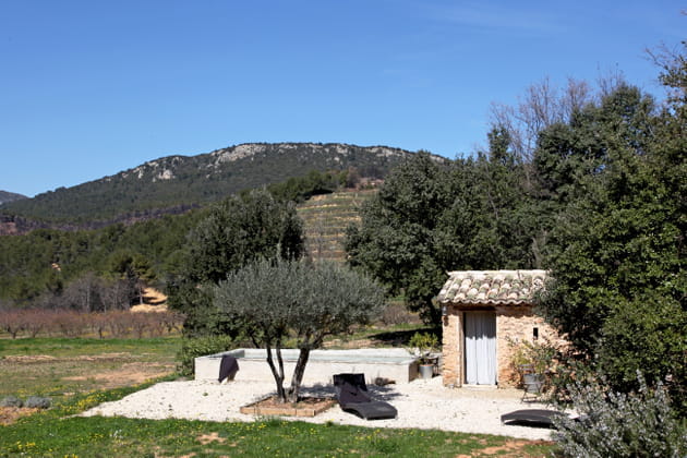 A l'ombre d'un olivier