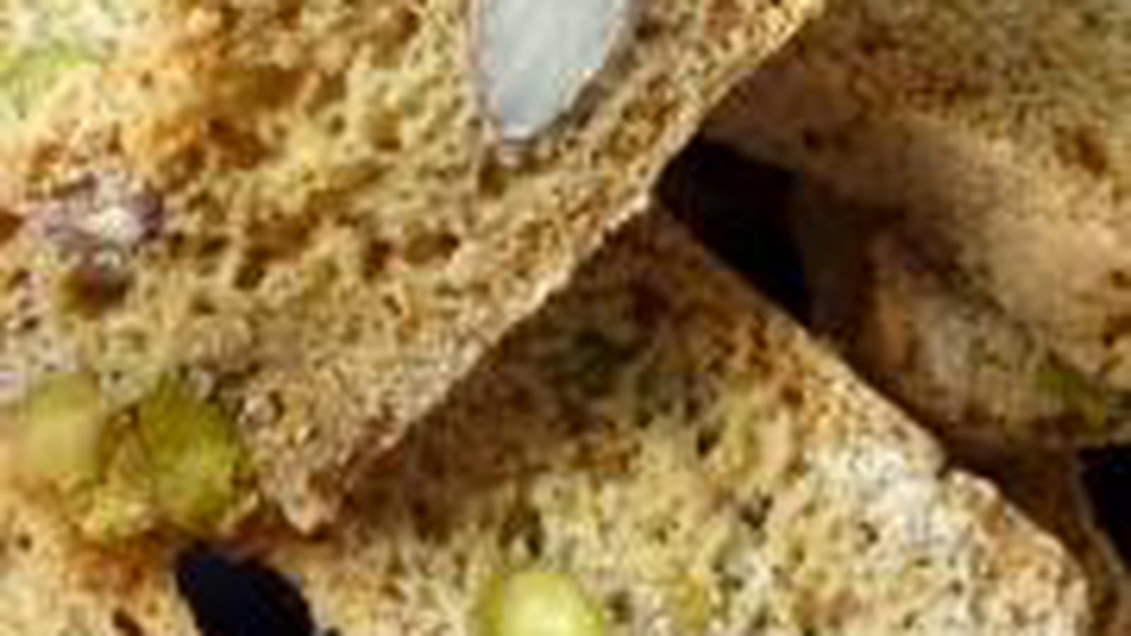 Croquants amandes et pistaches