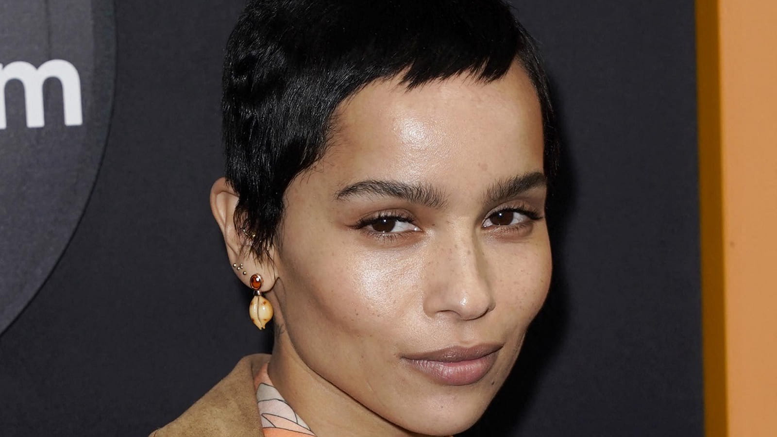 Zoë Kravitz en brune