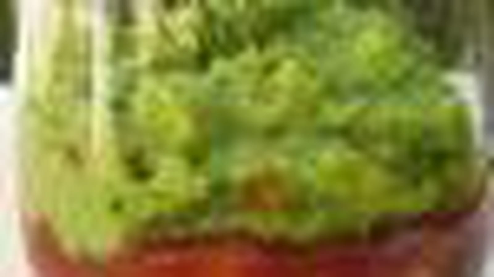 Brocoli-tomate