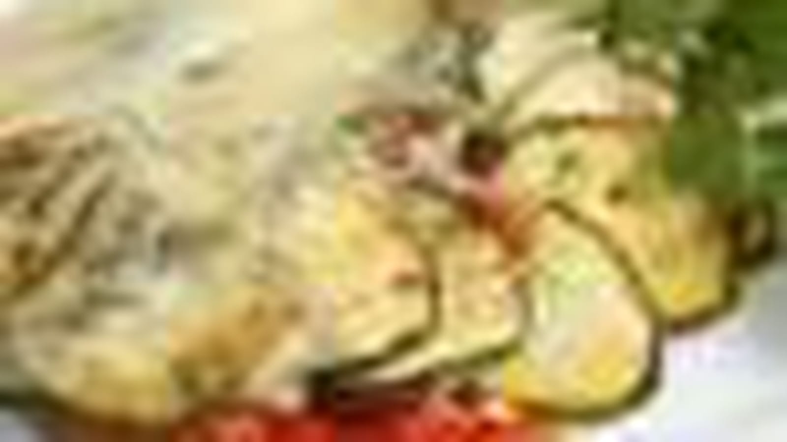 Tian courgette, tomate et mozzarella