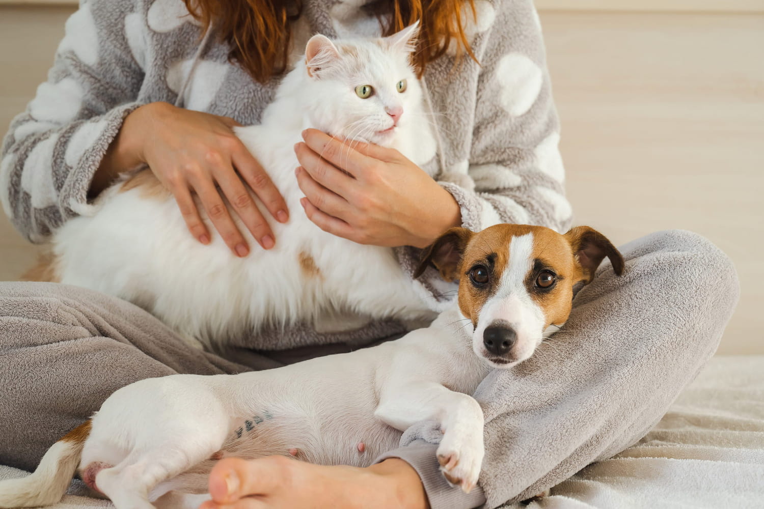 He has more bacteria than a toilet, according to a vet