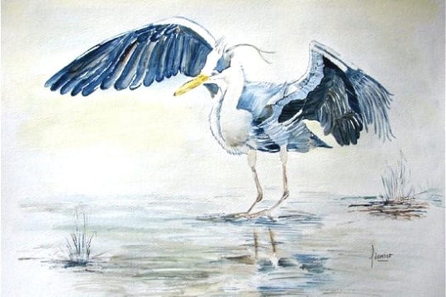 Un h&eacute;ron qui a de la classe