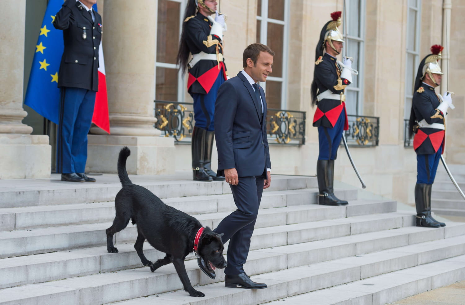 Brigitte Macron et son chien Némo, réunis pour la bonne cause en VIDEO
