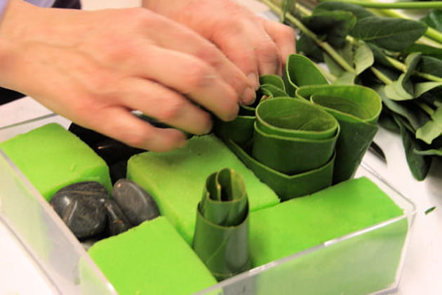 Des galets noir et des feuillages...