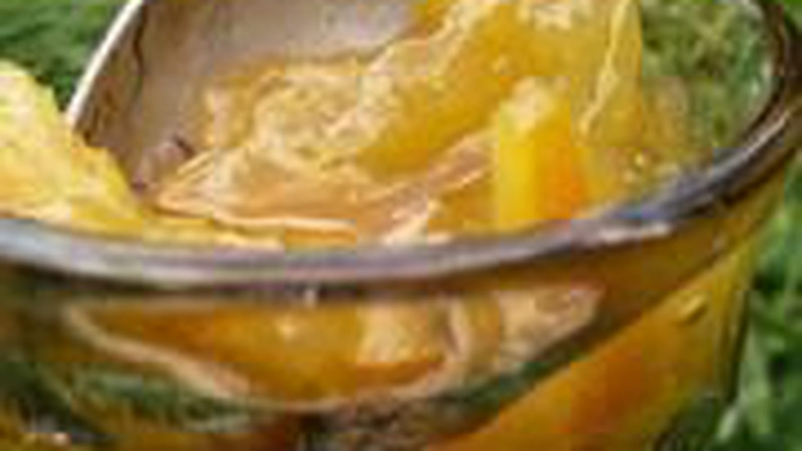 Confiture rhubarbe orange