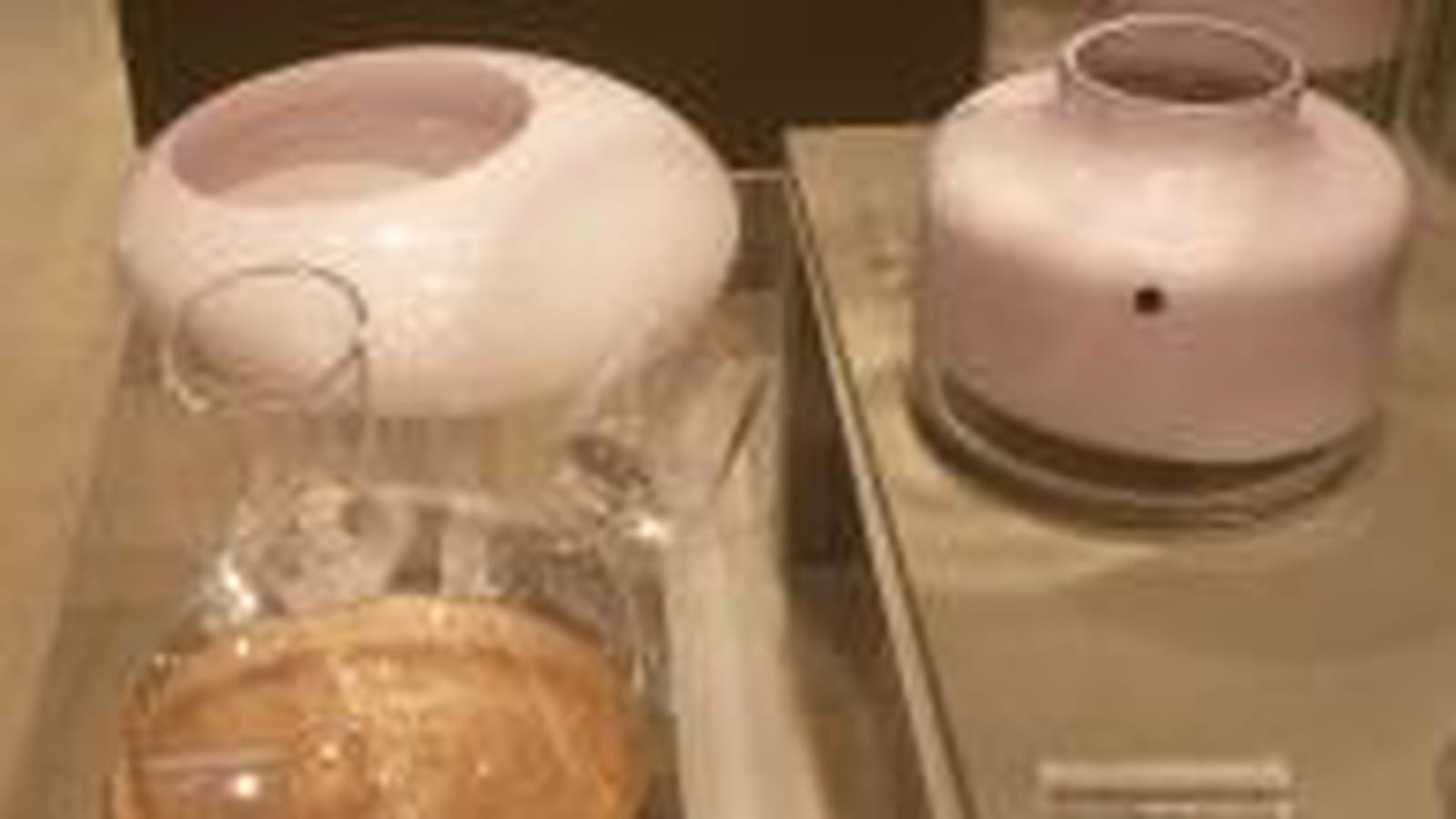 Vase et décanteur de vin