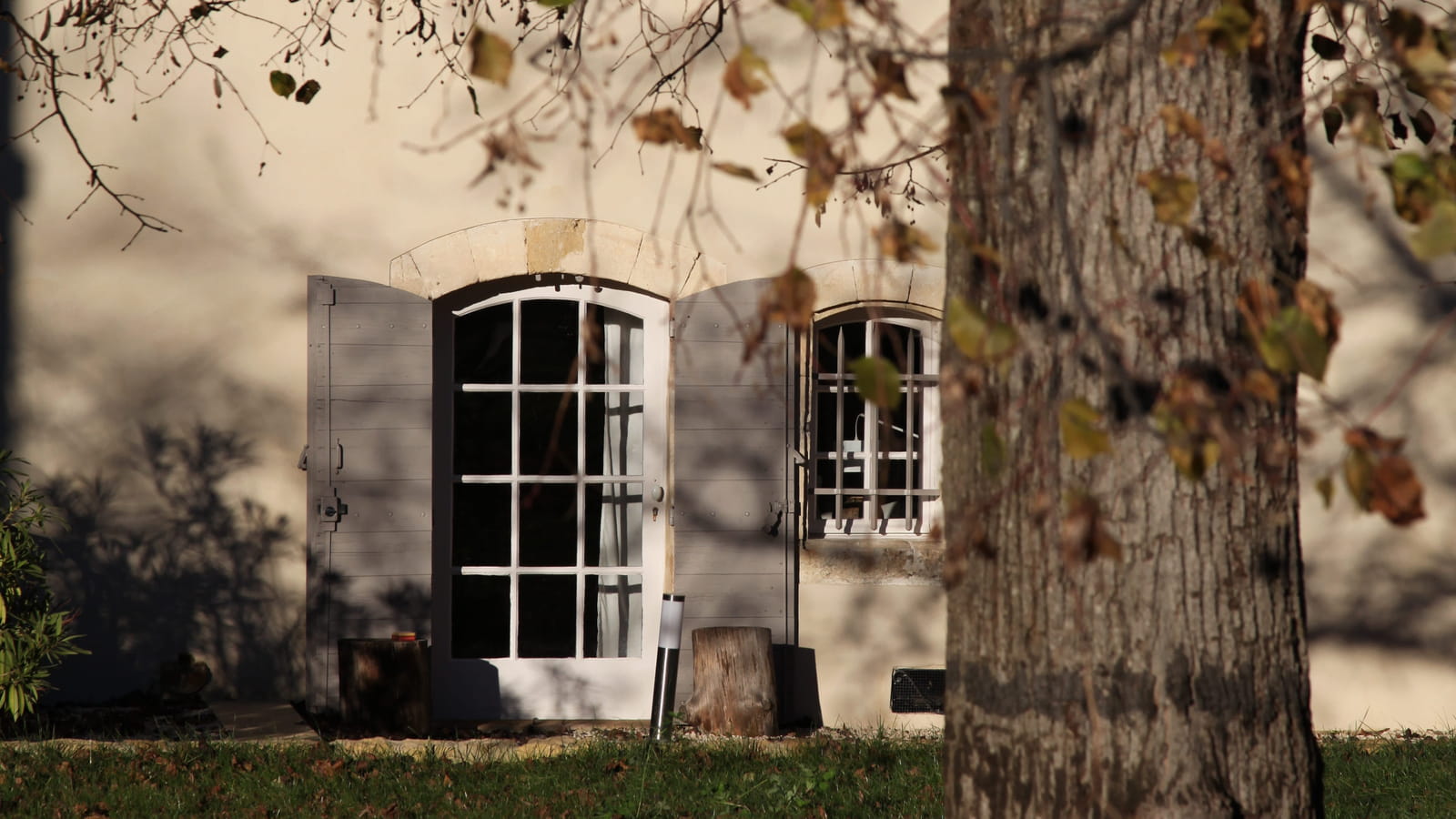 Tapis de feuilles mortes