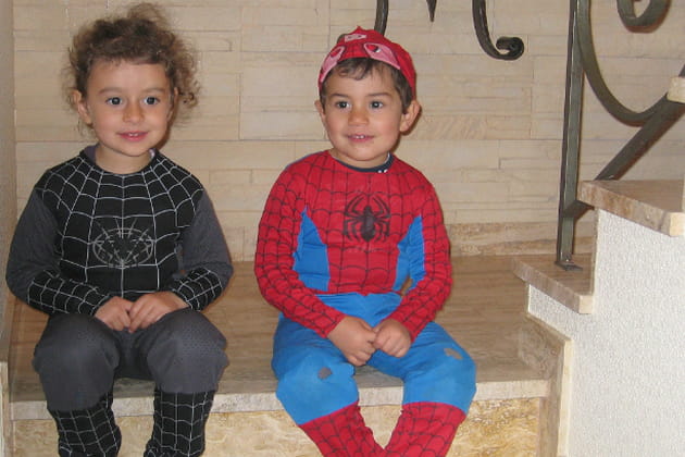 Même pas peur des araignées !