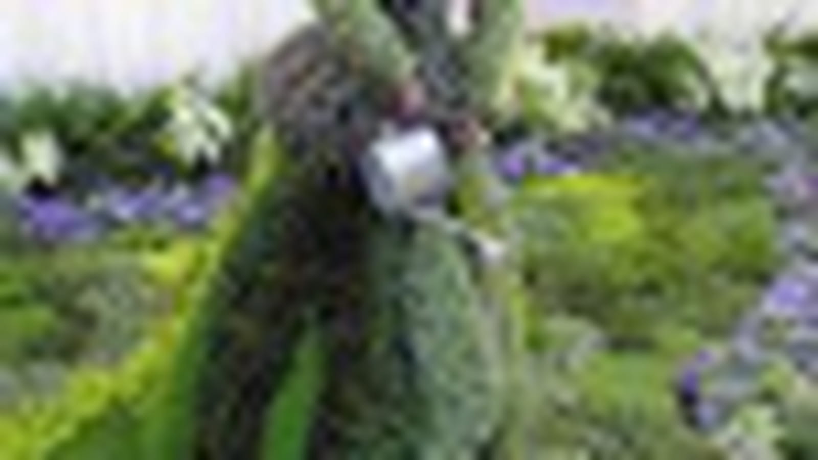 Jardinière