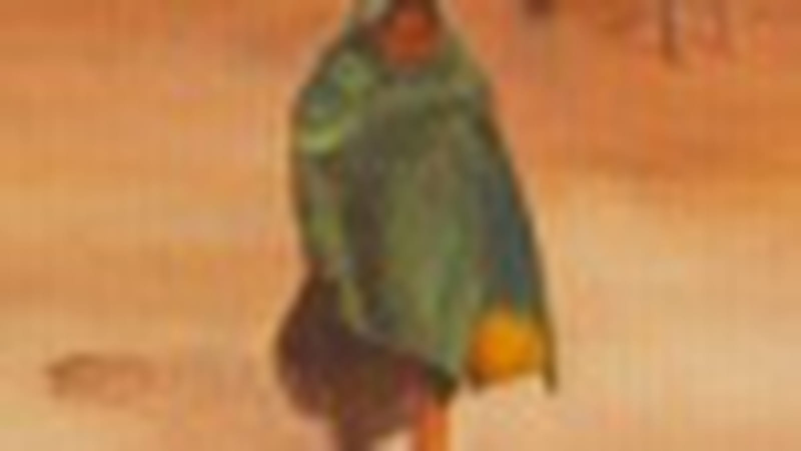 Mexicaine