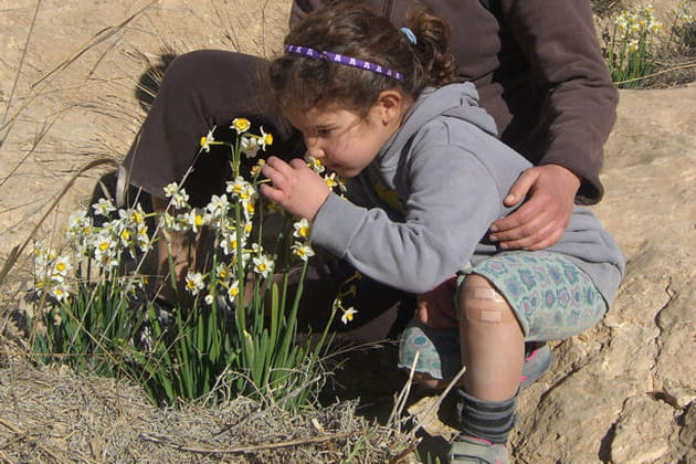 Hilla, une fleur parmi les fleurs
