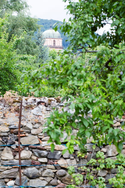 Des récoltes sauvages