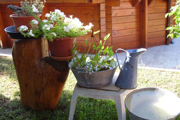 Une floraison qui &eacute;volue