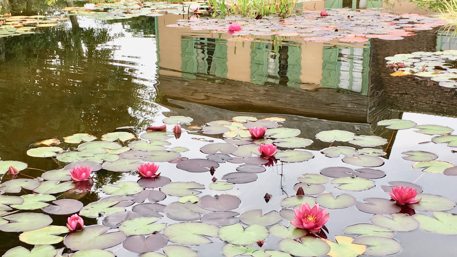 Reflets