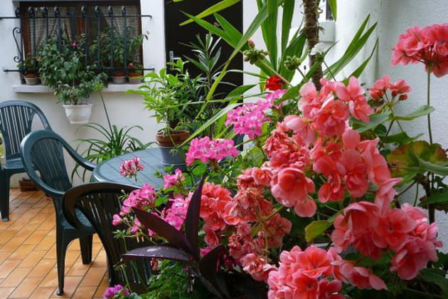 Il est bien agr&eacute;able de venir s'y pr&eacute;lasser