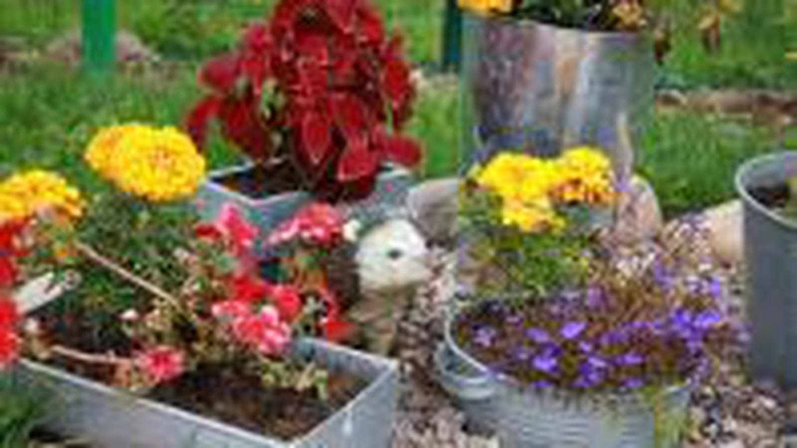 Bonheur au jardin