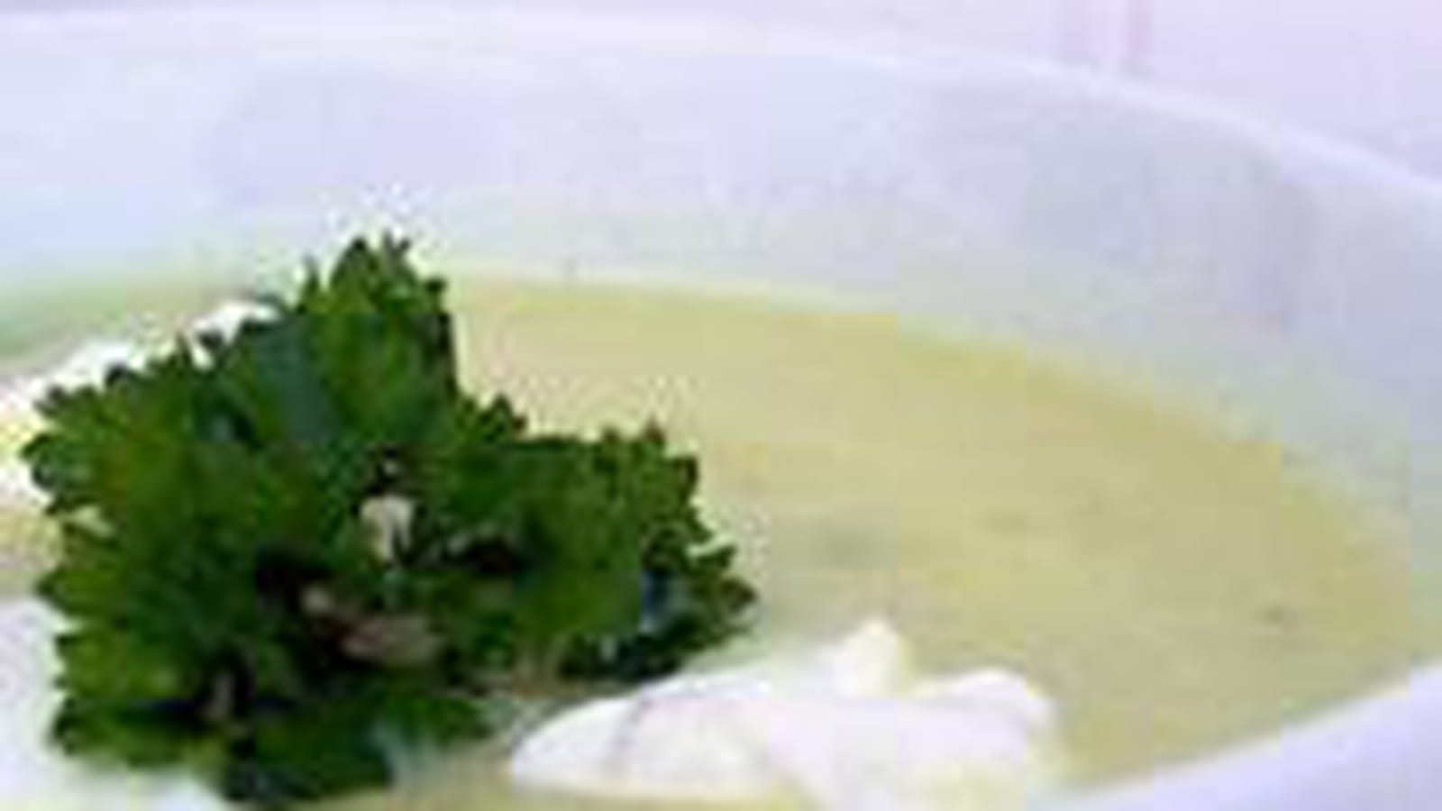 Velouté de chou-fleur au Kiri