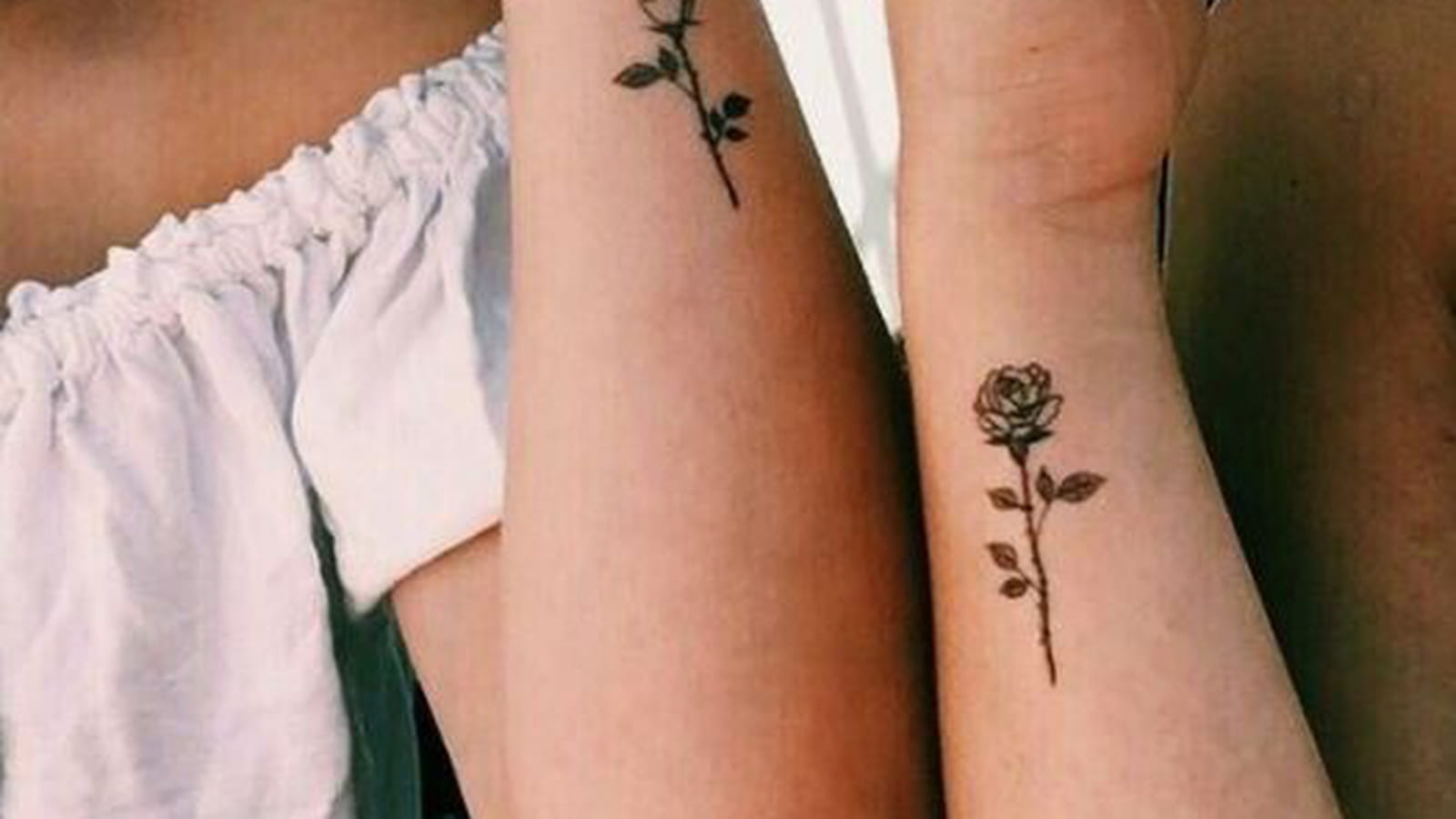 Roses fraternelles