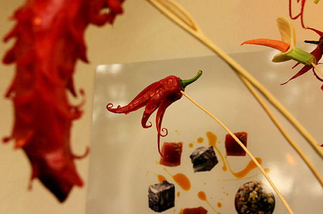 Le poivron pique un fard