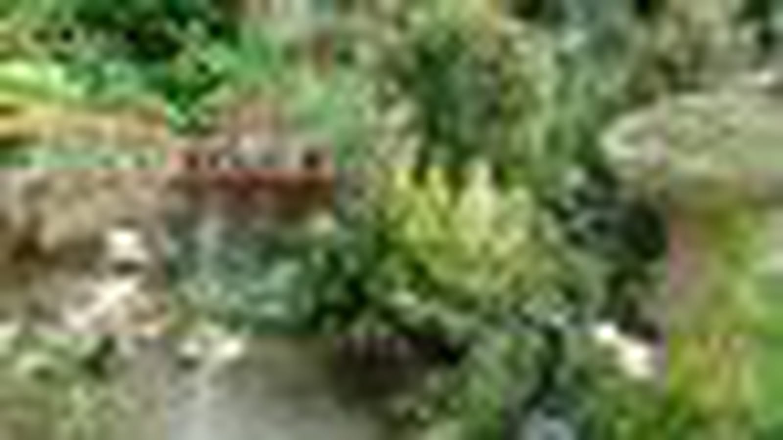 Le clos fleuri