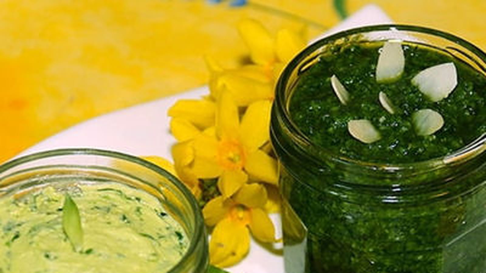 Pesto et beurre à l'Ail des Ours