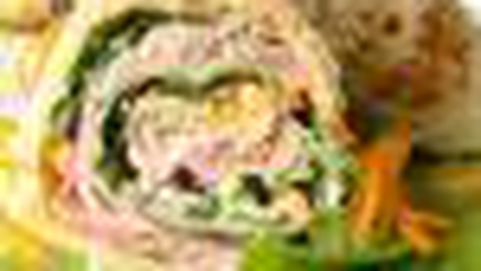 Wraps au jambon salade et carotte 