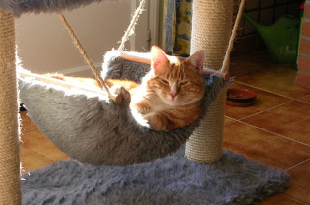 Tranquille dans mon hamac