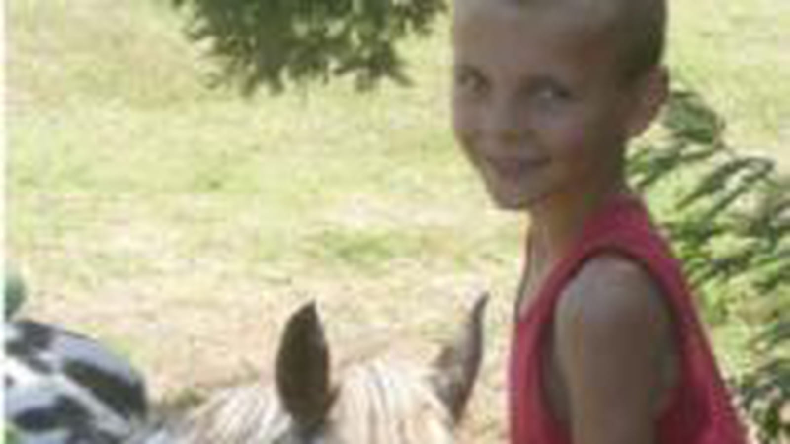 Tino et le poney corse