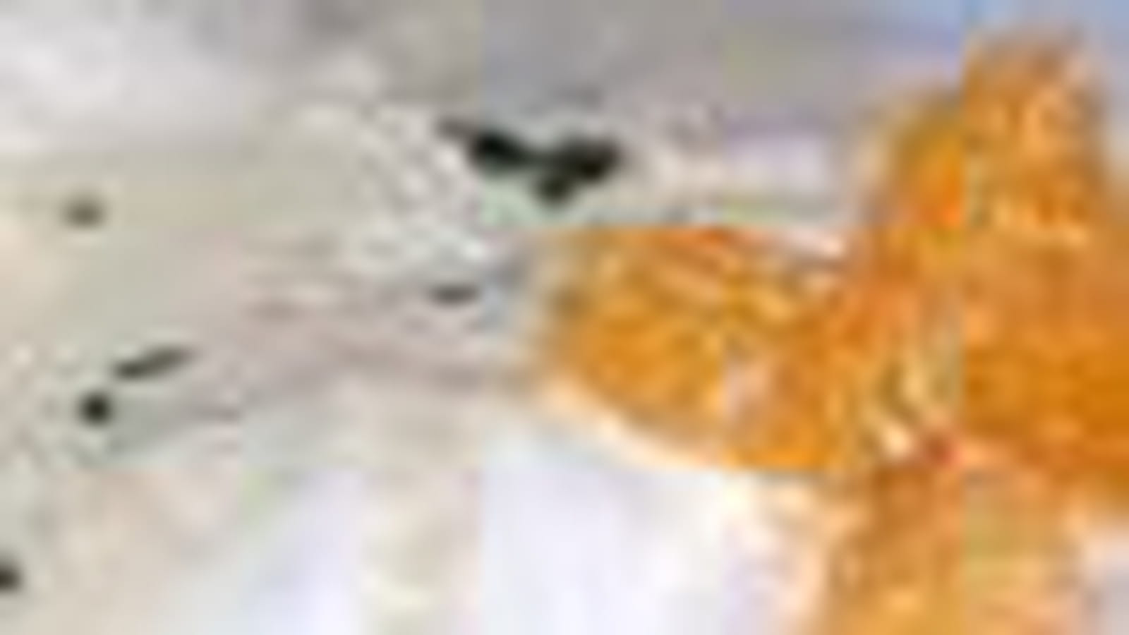 Mandarine