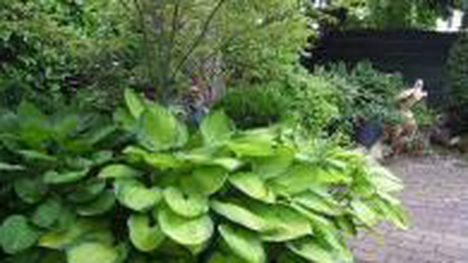Un jardin vert près de Valence