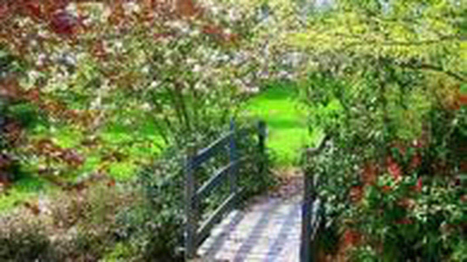 Pont en bois