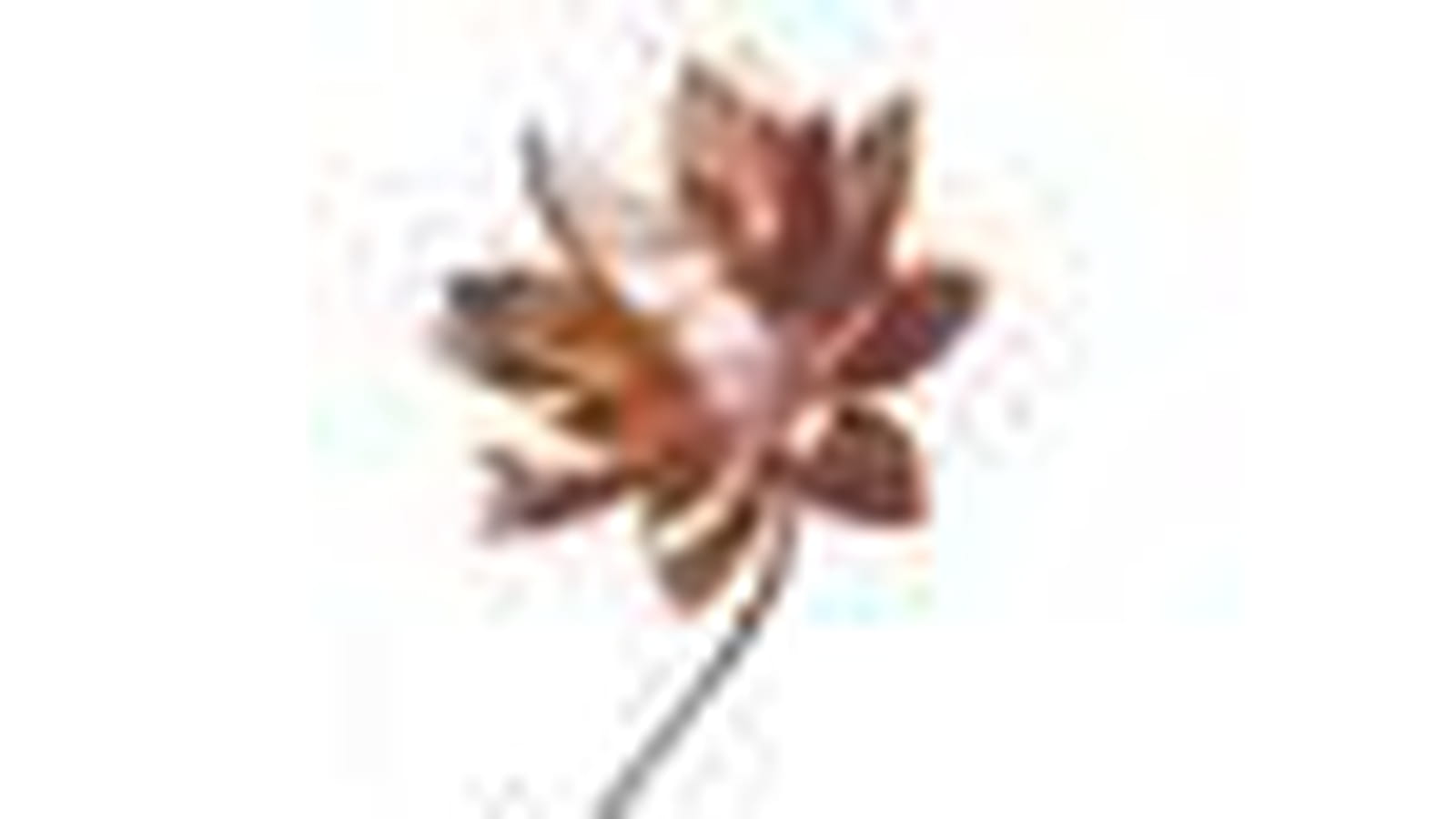 Fleuri