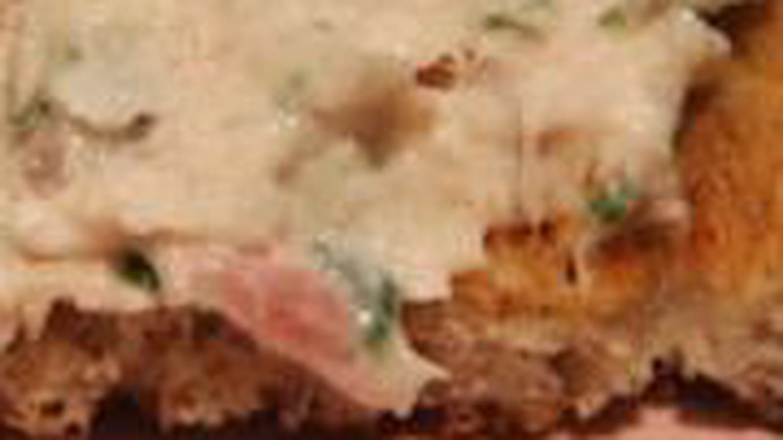 Tartines de poulet fumé