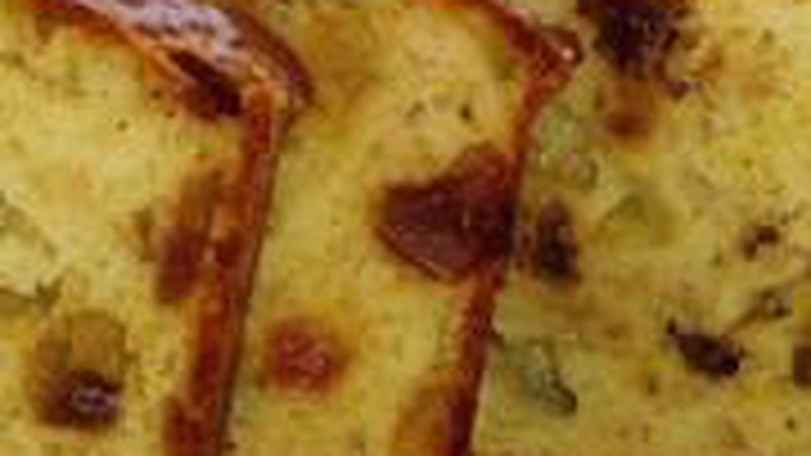 Cake à la betterave rouge et Mozzarella