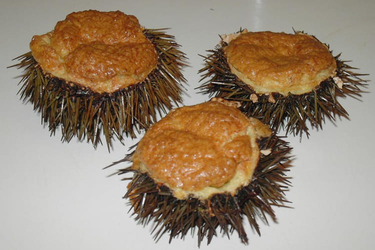 Recette Oursins Souffles