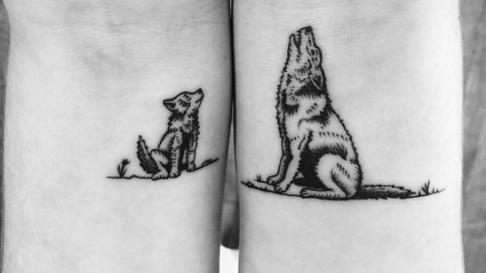Famille de loups sur les poignets